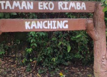 Taman Eko Rimba Kanching antara taman eko rimba yang dibenarkan beroperasi mengikut waktu yang ditetapkan.