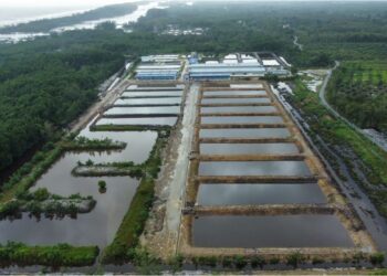 PROJEK Hatcheri Ikan Marin merupakan antara yang diuruskan TADC di Setiu, Terengganu.