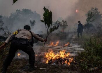SEORANG anggota polis berusaha memadam kebakaran di kawasan hutan Palangkaraya di Kalimantan.-AGENSI