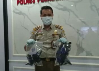 POLIS menggagalkan peyeludupan 51 burung gagak di Pelabuhan Tanjung Perak.-AGENSI