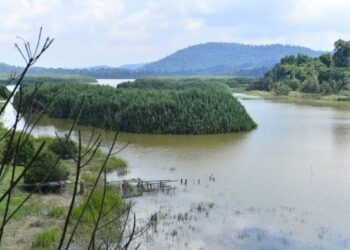 Tasik Chini