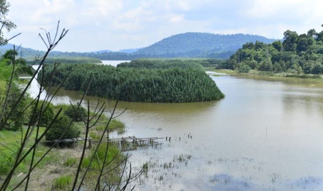 Tasik Chini