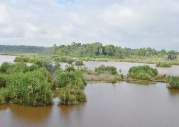 TASIK Bera di Bera, Pahang perlu diberikan nafas baharu supaya tasik semula jadi terbesar negara itu tidak hilang dari radar pelancongan.