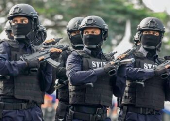 KERAJAAN melihat semula keperluan unit-unit elit Polis Diraja Malaysia seperti Pasukan Khas Taktikal Perisikan Narkotik (STING) yang  dibubarkan sebelum ini.
