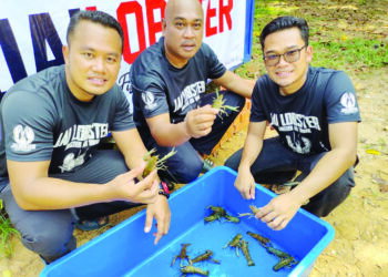 MOHD. Zairi Nasran (kiri) bersama rakannya menunjukkan udang kara yang diternak mereka di Kampung Ulu Rokan, Tampin. - UTUSAN/NOR AINNA HAMZAH