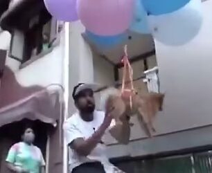 TANGKAP layar video yang menunjukkan Guarav mengikat anjingnya dengan sejumlah belon helium sehingga haiwan itu terapung. - AGENSI