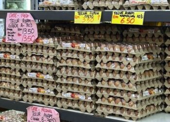 BIARPUN di peringkat ladang didakwa berlaku kekurangan bekalan telur tetapi di beberapa negeri kembali stabil selepas kerajaan perpaduan dibentuk.