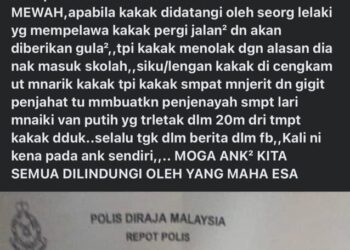 HANTARAN yang dimuat naik di media sosial tular sejak semalam berkaitan kes cubaan melarikan murid di hadapan sebuah sekolah di Taman Pinji Mewah, Ipoh. - UTUSAN/MEDIA SOSIAL