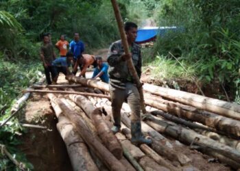 MASYARAKAT umum tidak boleh menerima kegiatan pengusahasilan Kelantan yang dieksploitasi secara 'rakus'. -GAMBAR HIASAN