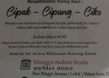 KAD undangan majlis kesyukuran bagi meraikan pemandulan tiga ekor kucing di Banyuwangi, Jawa Timur. - AGENSI