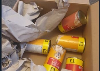 SEORANG pelanggan memuat naik gambar makanan anjing yang diterimanya sedangkan dia sebelum ini membuat tempahan PS5.  - TWITTER