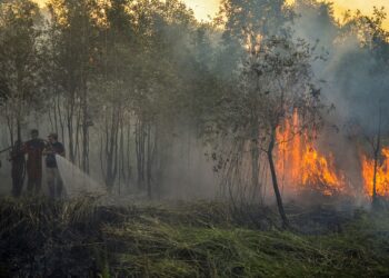 ANGGOTA bomba memadamkan kebakaran hutan di Ogan Ilir, Riau, Indonesia. - AFP