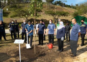 TAKIYUDDIN Hassan menanam Pokok Merawan Siput Jantan sambil disaksikan Roziah Mohd. Janor (dua dari kanan) selepas merasmikan Pelancaran Program 'One to One Tree' dan Majlis Menandatangani MOU antara KeTSA melalui YHM dengan UiTM di Shah Alam, Selangor, hari ini.