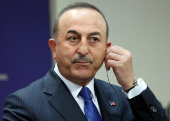 MEVLUT CAVUSOGLU