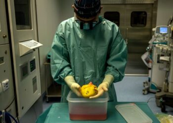 KAJIAN oleh Institut HeartMath dari Amerika Syarikat mendapati emosi dan perasaan manusia berpusat di jantung dan bukannya hati. – GAMBAR HIASAN/AFP