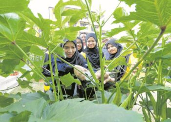 AKTIVITI  penanaman sayur-sayuran oleh penduduk harus digalakkan bagi membolehkan orang ramai mendapat bekalan yang segar. – GAMBAR HIASAN