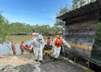 Penagih sungai