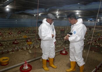 RONALD Kiandee (kiri) diberi penerangan mengenai penternakan ayam di Dinding Poultry Development Centre di Segari dekat Lumut hari ini. - UTUSAN/
SHAMSUL KAMAL AMARUDIN