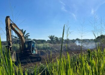 Hutan terbakar