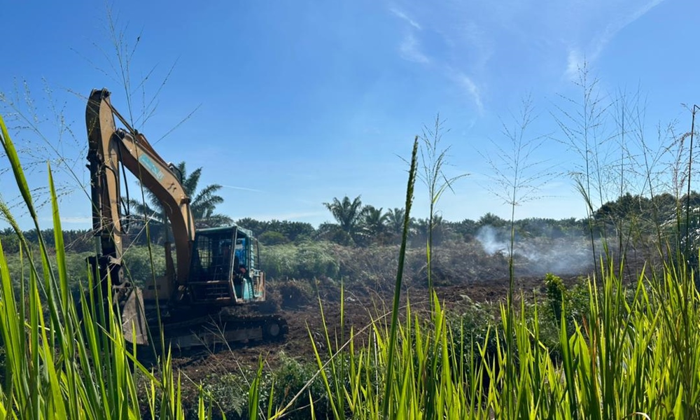 Hutan terbakar