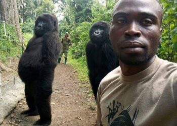 NDAKASI dan Ndeze mencipta nama selepas berswafoto bersama Mathieu Shamavu. - AGENSI