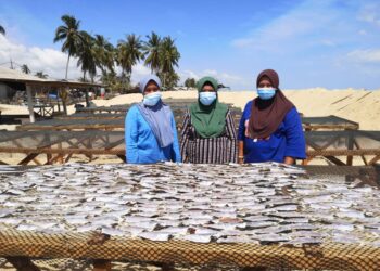 TINGGAL hanya satu acak digunakan untuk menjemur ikan oleh pengusaha ikan kering Aminah Jusoh (tengah) ekoran ketiadaan bekalan ikan di Pantai Pachakan, Pasir Puteh. - UTUSAN/TOREK SULONG