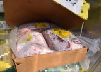 SEBANYAK 70 tan daging kerbau sejuk beku dari India dirampas Maqis Pulau Pinang di Terminal Kontena Butterworth Utara (NBCT) semalam kerana melanggar syarat permit import sah.