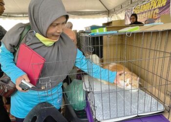 DR. Che Azila Che Omar bersama kucing sihat yang dipamerkan di gerai pameran kucing sempena Program Selamatkan Kucing Jalanan di Bandar Tok Janggut, Pasir Puteh, Kelantan. - UTUSAN/TOREK SULONG