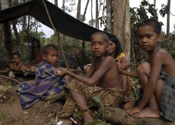 ANAK-ANAK Orang Rimba di wilayah Jambi memerlukan pendidikan untuk masa depan mereka. – AGENSI
