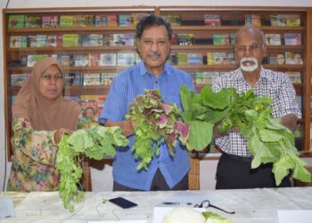 MOHIDEEN Abdul Kader (tengah) menunjukkan sebahagian sayur di pasaran yang dipercayai mengandungi racun makhluk perosak.