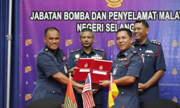 Perakuan pelan