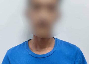 SUSPEK lelaki yang ditahan polis Pulau Pinang kerana disyaki memperdaya orang ramai dalam urusan perkhidmatan pembersihan rumah yang tidak wujud melalui media sosial Facebook melibatkan kerugian lebih RM100,000.