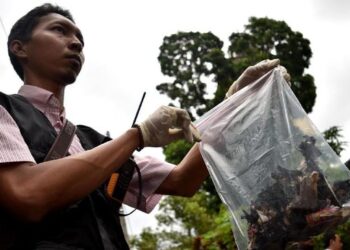 POLIS membawa barang bukti berupa mercun. - AGENSI