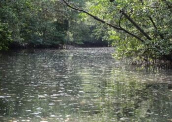 KEADAAN air di Sungai Kopok yang didakwa masih tercemar sehingga semalam dipercayai akibat buangan sisa kimia di Kampung Perigi Acheh, Pasir Gudang di Johor.