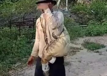 Salah satu gambar nelayan Vietnam  memikul biawak yang akan dijadikan lauk mereka ketika berlabuh di Tok Bali, Pasir Puteh, Kelantan.