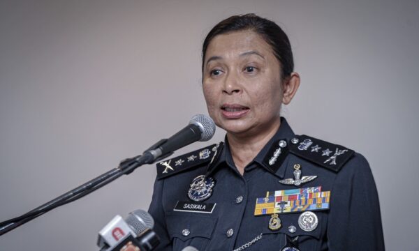 Polis, Tikam