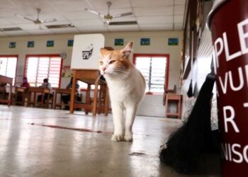 SI oyen yang mendapat perhatian ramai ketika proses pengundian di Alor Gajah. - UTUSAN/RASUL AZLI SAMAD