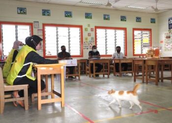 SEEKOR kucing yang dikatakan sebagai pemerhati memasuki saluran tiga menggamit suasana petugas SPR pada hari mengundi Pilihan Raya Negeri (PRN) Melaka di Sekolah Kebangsaan Durian Tunggal, Alor Gajah. - UTUSAN/RASUL AZLI SAMAD