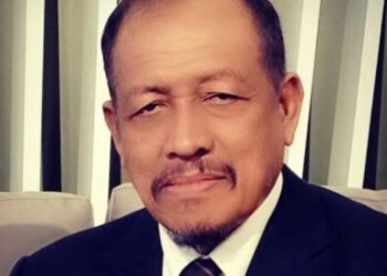 AMIER HASSAN