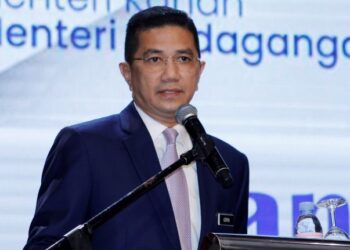 AZMIN ALI