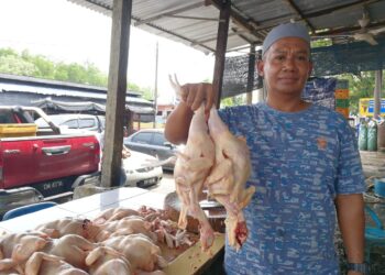 MOHD. Azman Ahmad menunjukkan ayam yang ditempah pelanggannya di Pasar Besar Chukai, Kemaman, Terengganu, semalam. – UTUSAN/NIK NUR IZZATUL HAZWANI NIK ADNAN