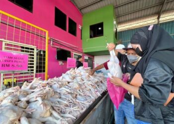 PELANGGAN mendapatkan ayam bulat super di pusat jualan Ayam Bismi yang dijual pada harga RM8.90 sekilogram di Simpang Empat, Alor Setar. -UTUSAN/JAMLIAH ABDULLAH