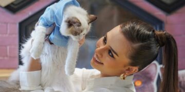 Anna Jobling bela 14 ekor kucing pelbagai baka dan jenis.
