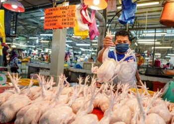 KENAIKAN harga ayam di pasaran dikatakan berpunca daripada faktor dedak dan belian anak ayam di ladang.