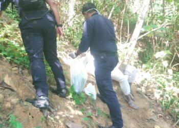 ANGGOTA pasukan keselamatan membantu lelaki yang dipercayai cuba membunuh diri dengan mengikat badannya pada sebatang pokok di Bukit Headwood di Sungai Siput, Perak, hari ini. - IHSAN JBPM PERAK
