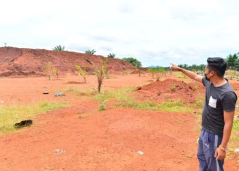 PENDUDUK Felda Bukit Goh, Mohd. Shaiful Salim menunjukkan anak pokok kelapa sawit yang ditanam di tapak lombong bauksit di Kuantan, Pahang, semalam. – mingguan/SHAIKH AHMAD RAZIF