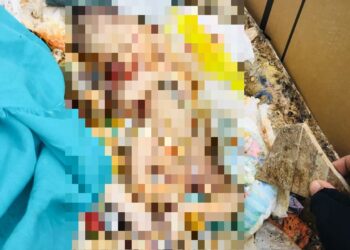MAYAT bayi yang ditemukan di tempat pelupusan sampah Bandar Tun Razak, Cheras, Kuala Lumpur.