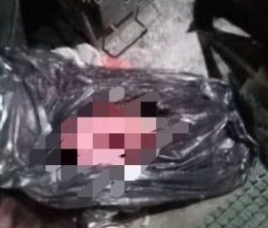 SEORANG bayi lelaki yang ditemukan di kawasan semak berhampiran sebuah rumah teres di kawasan Taman Puchong Indah, Selangor.