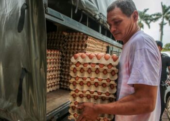 Pemandu lori telur, Khiruizan Ramli mengangkat stok telur untuk diagihkan kepada kedai-kedai di Pasar Besar Alor Setar, Kedah baru-baru ini. – MINGGUAN/ SHAHIR NOORDIN