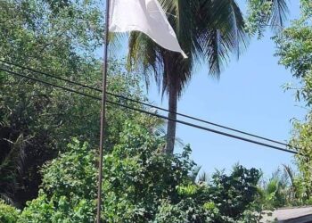 Pengibaran bendera putih kini menimbulkan banyak tafsiran dan menjadi bualan dalam media sosial - SUMBER MEDIA SOSIAL- GAMBAR HIASAN